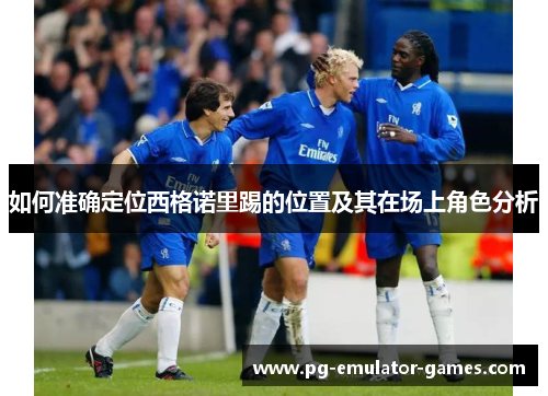 如何准确定位西格诺里踢的位置及其在场上角色分析