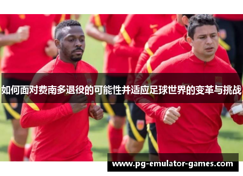 如何面对费南多退役的可能性并适应足球世界的变革与挑战