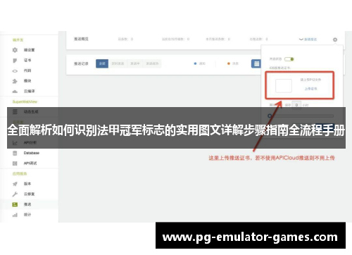全面解析如何识别法甲冠军标志的实用图文详解步骤指南全流程手册