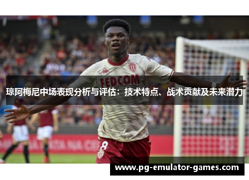 琼阿梅尼中场表现分析与评估：技术特点、战术贡献及未来潜力